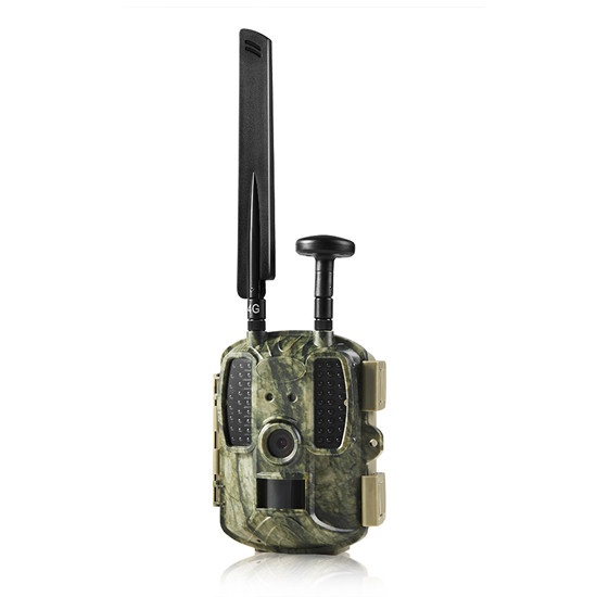 BL480L-P 4G 3G 2G Cellular GPS Trail Cameras