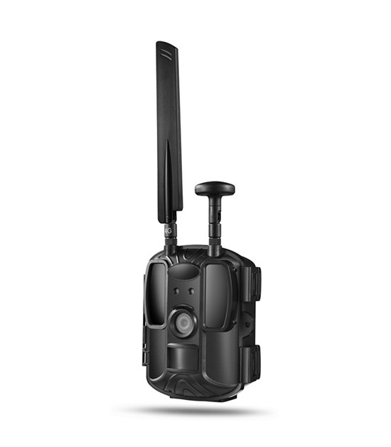 BL480L-P 4G 3G 2G Cellular GPS Trail Cameras